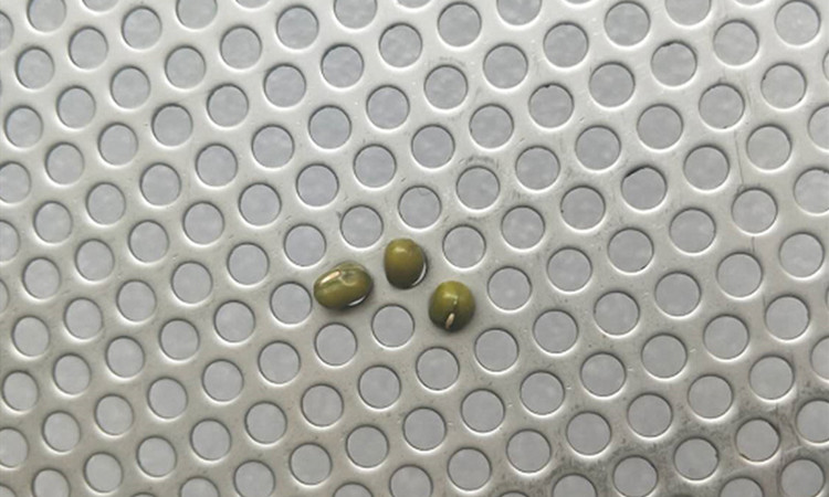 冷軋板圓孔網(wǎng)產(chǎn)品展示